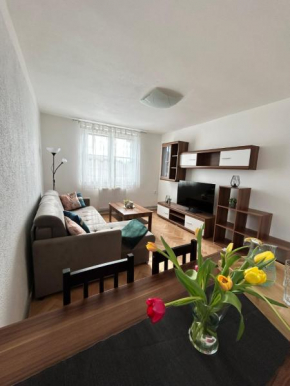 Apartmán Žižka Frymburk Nad Vltavou